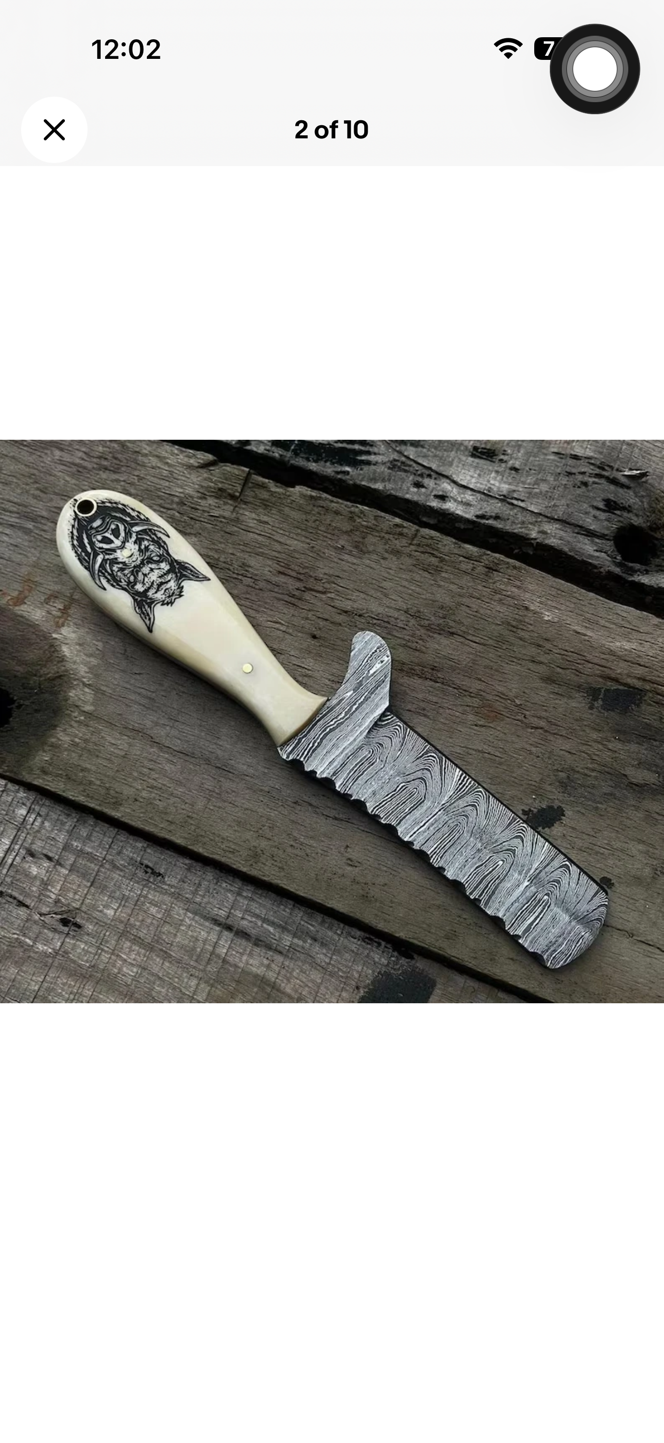 Scrimshaw Camel Bone Bull Cutter with Hand Engraved Bone Handle