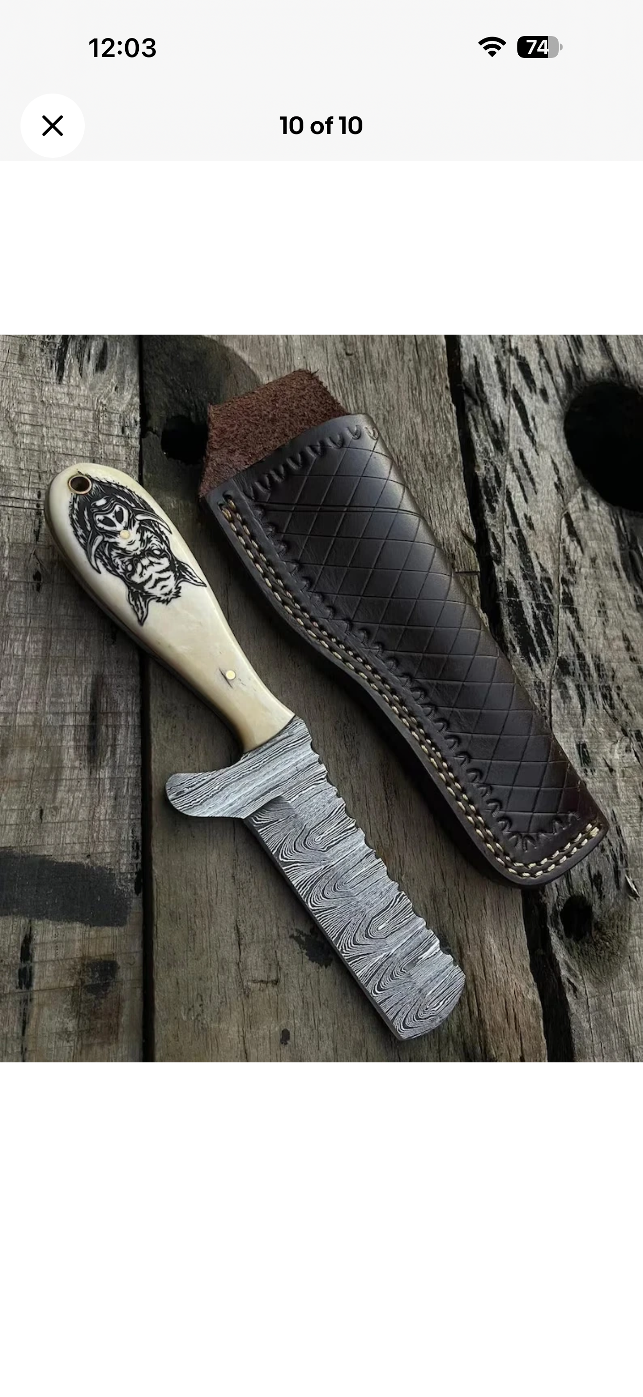 Scrimshaw Camel Bone Bull Cutter with Hand Engraved Bone Handle
