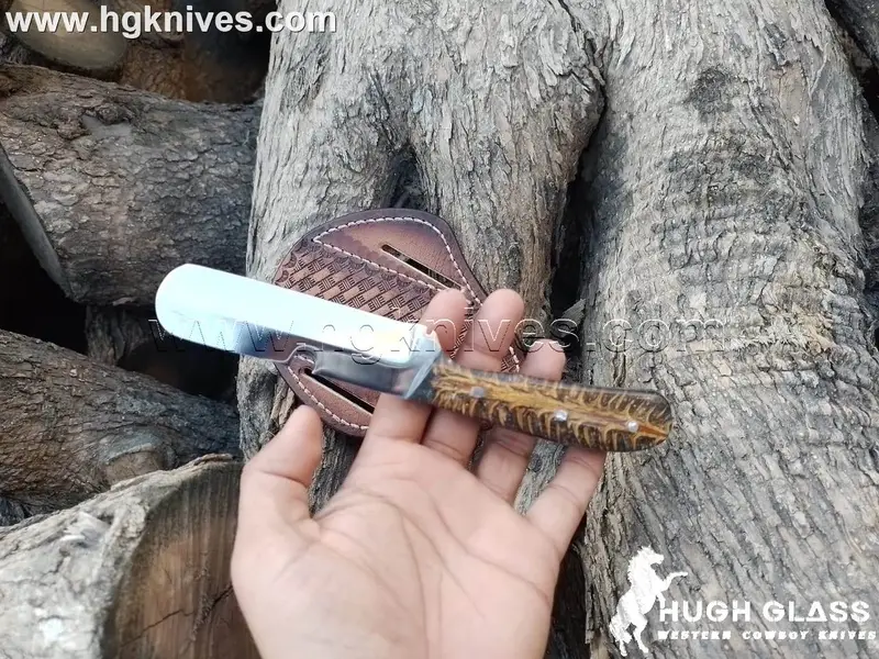 Dark Stag Horn Bull Cutter Knife for Ranch Chores and Gifting