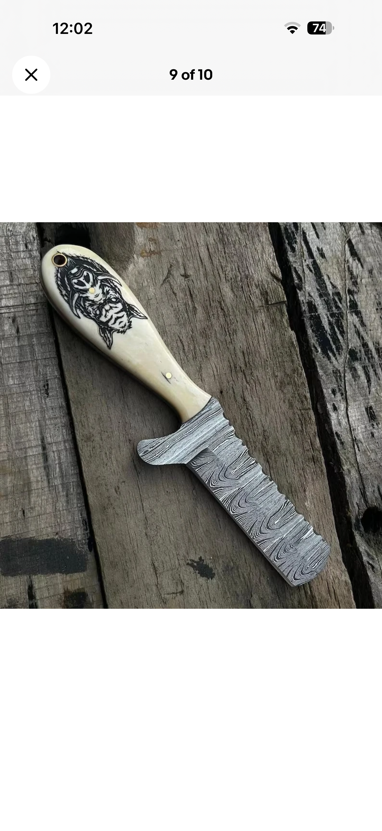 Scrimshaw Camel Bone Bull Cutter with Hand Engraved Bone Handle