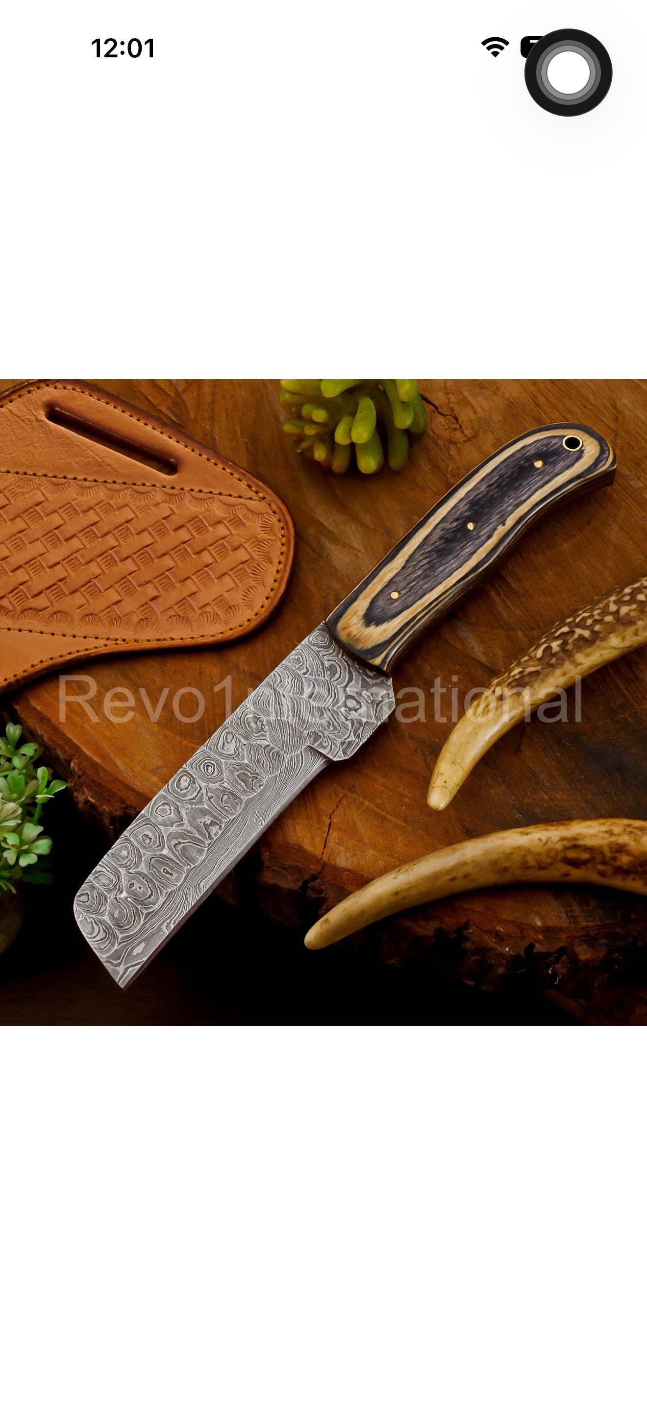 Dual-Tone Pakkawood Bone Bull Cutter with Stacked Handle Design