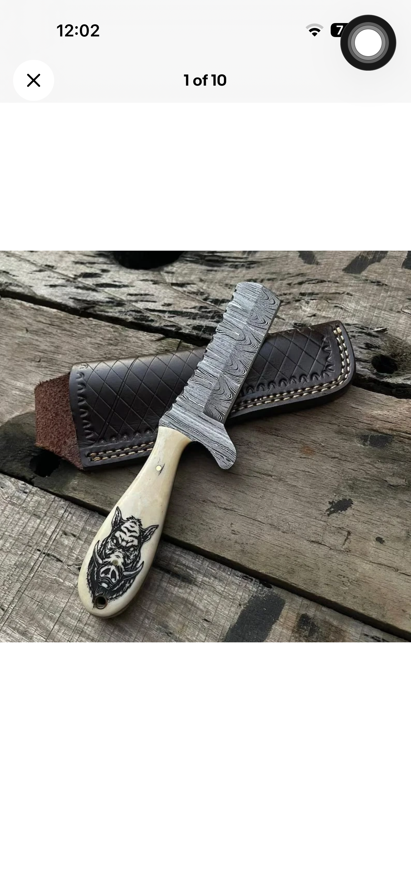 Scrimshaw Camel Bone Bull Cutter with Hand Engraved Bone Handle