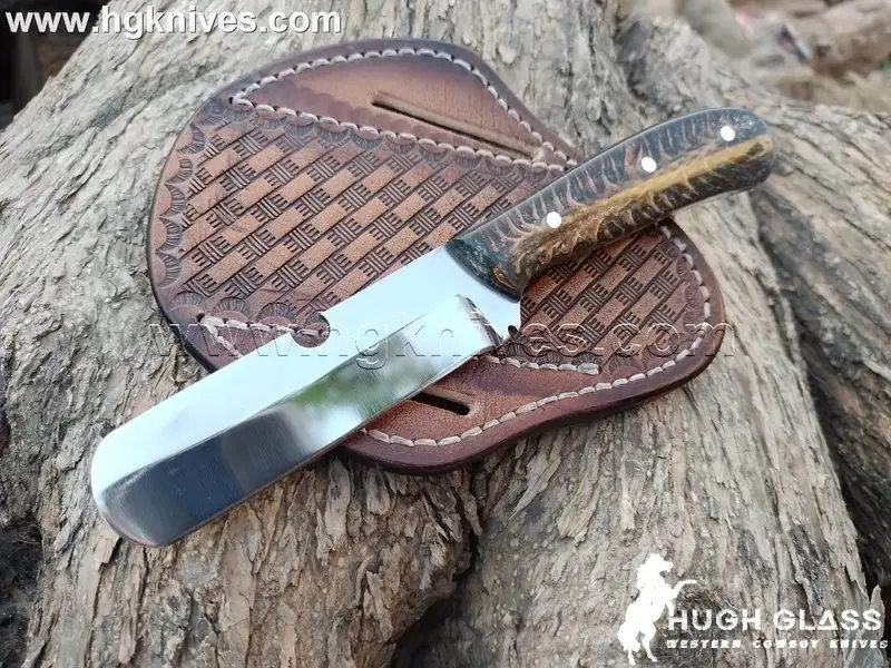 Dark Stag Horn Bull Cutter Knife for Ranch Chores and Gifting