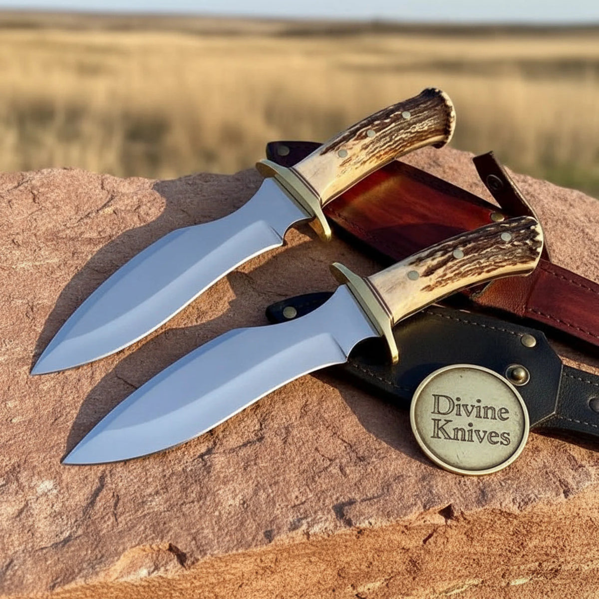 Stag Handle Hunting Knife Pair with Brass Guards and Leather Sheaths